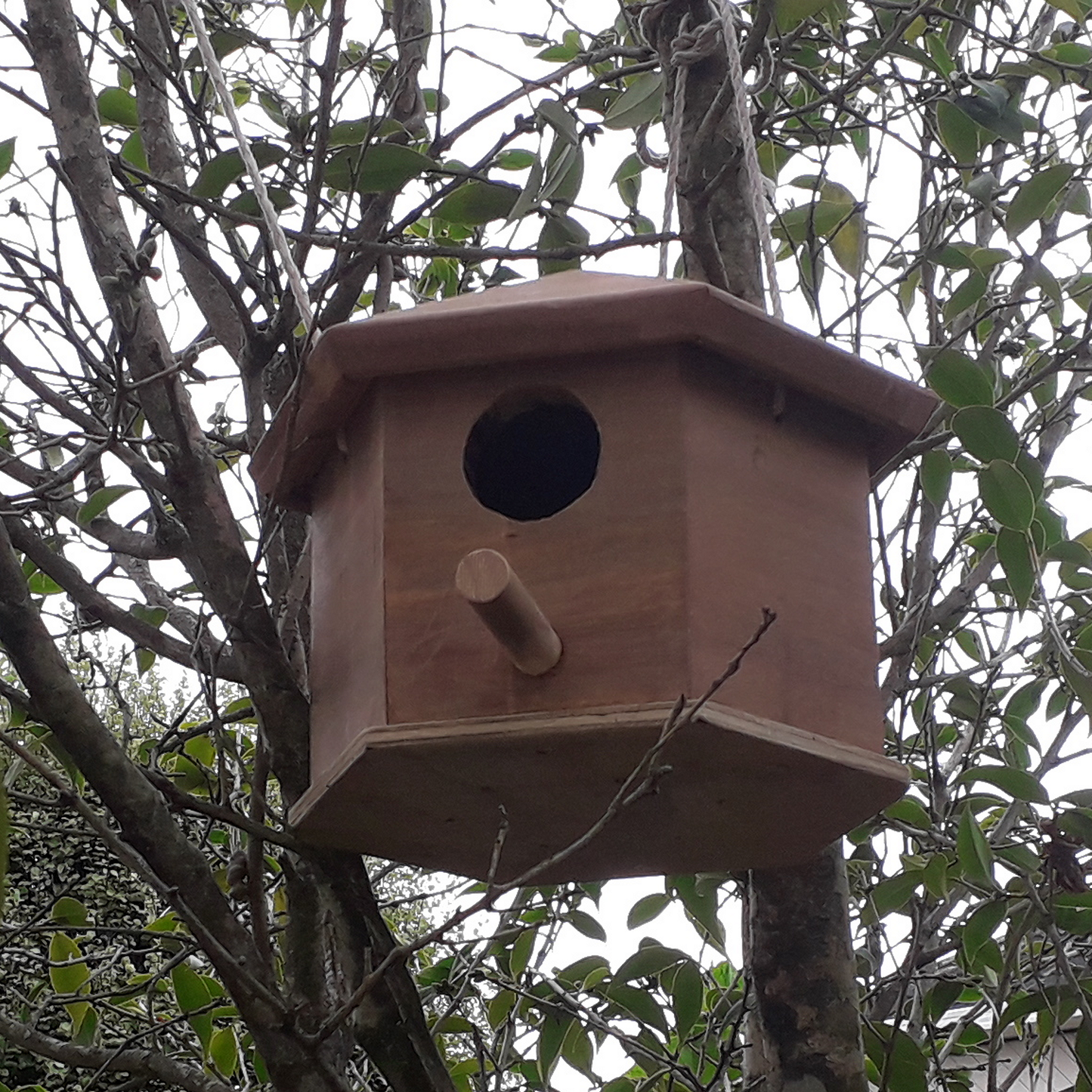 DIY plans to build a hexagonal birdhouse