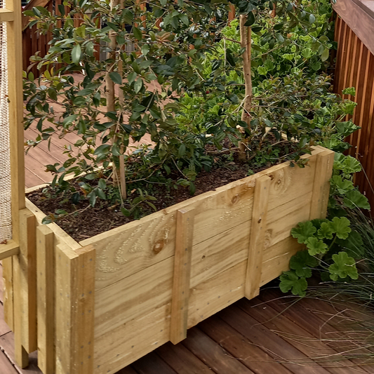 DIY plans to build an inexpensive planter box from 1x6 boards